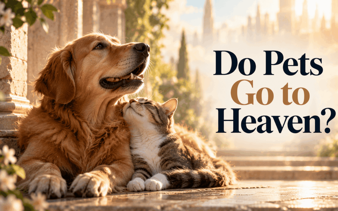 Do Pets Go to Heaven?